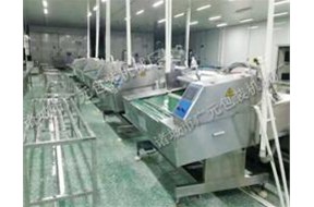 真空包裝機(jī)按基本用途可以分為哪幾類<div   id=